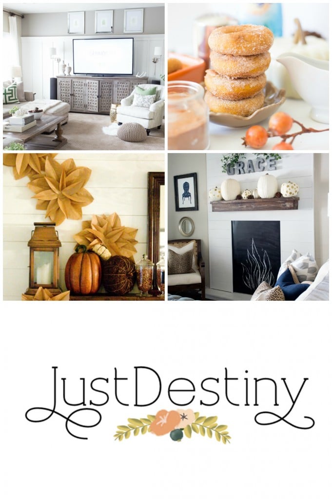 Just Destiny Mag Projects