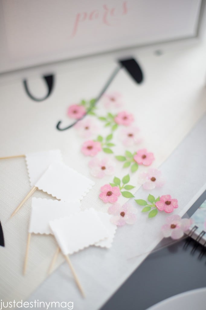 Springtime in Paris Party-6