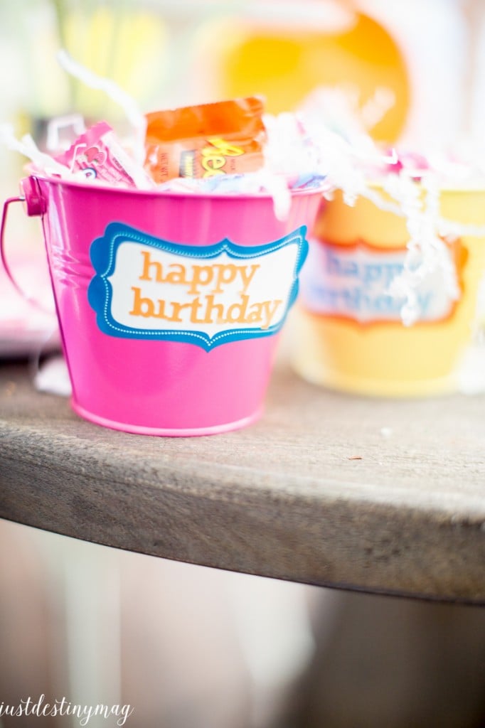 Summer Birthday Party Colors - Just Destiny_-19