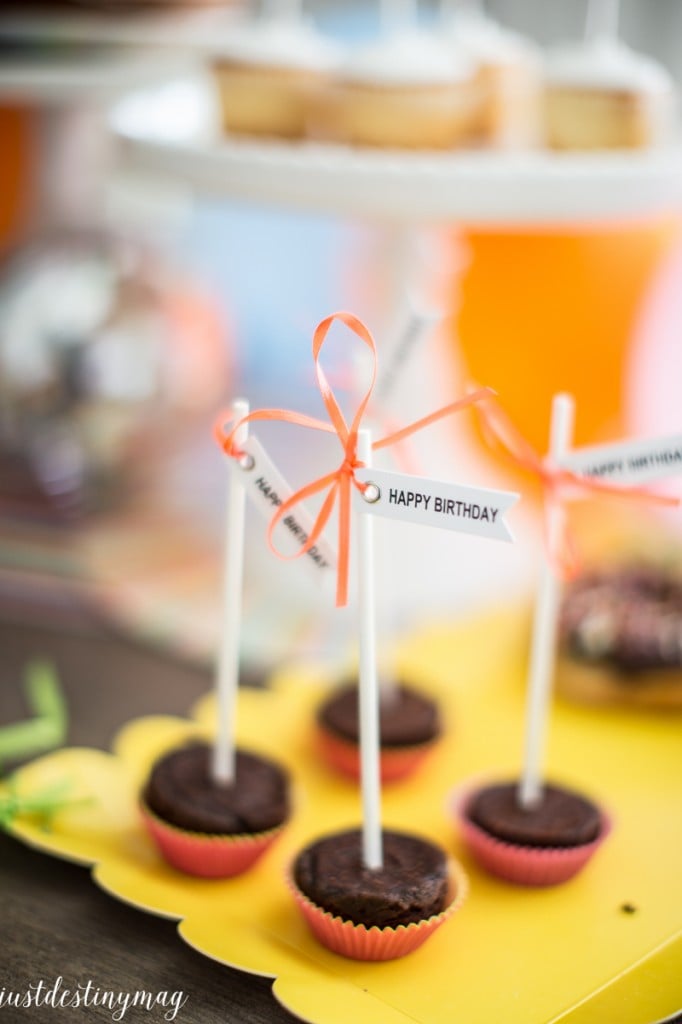 Summer Birthday Party Colors - Just Destiny_-7