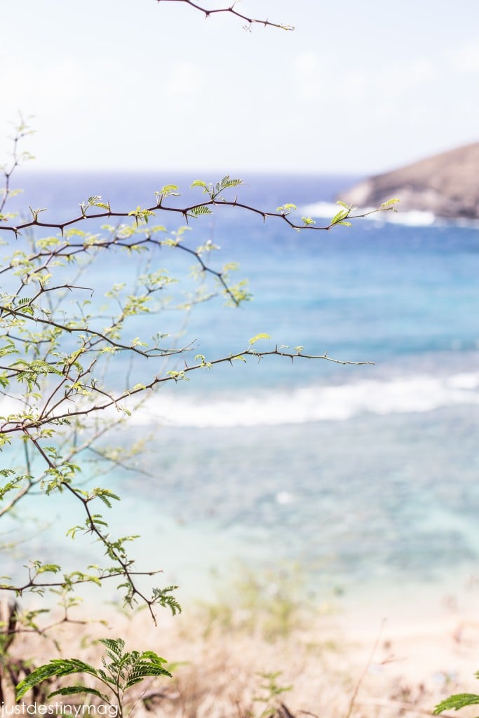 Hawaii Trip Silhouette Summit 2015-15