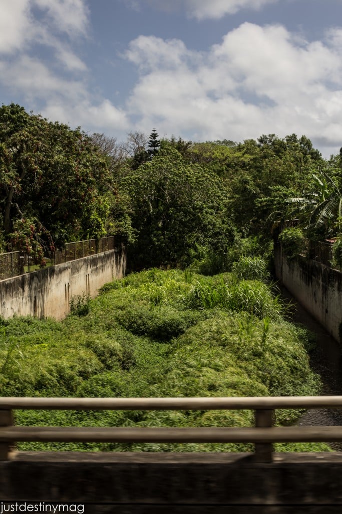 Hawaii Trip Silhouette Summit 2015-23