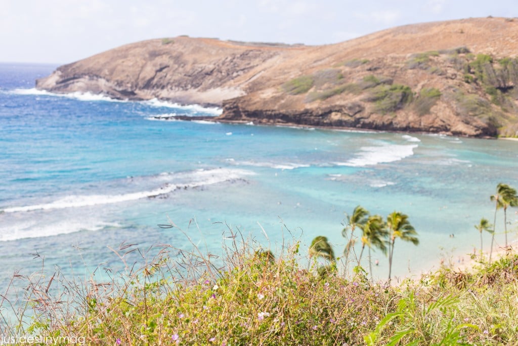 Hawaii Trip Silhouette Summit 2015-4