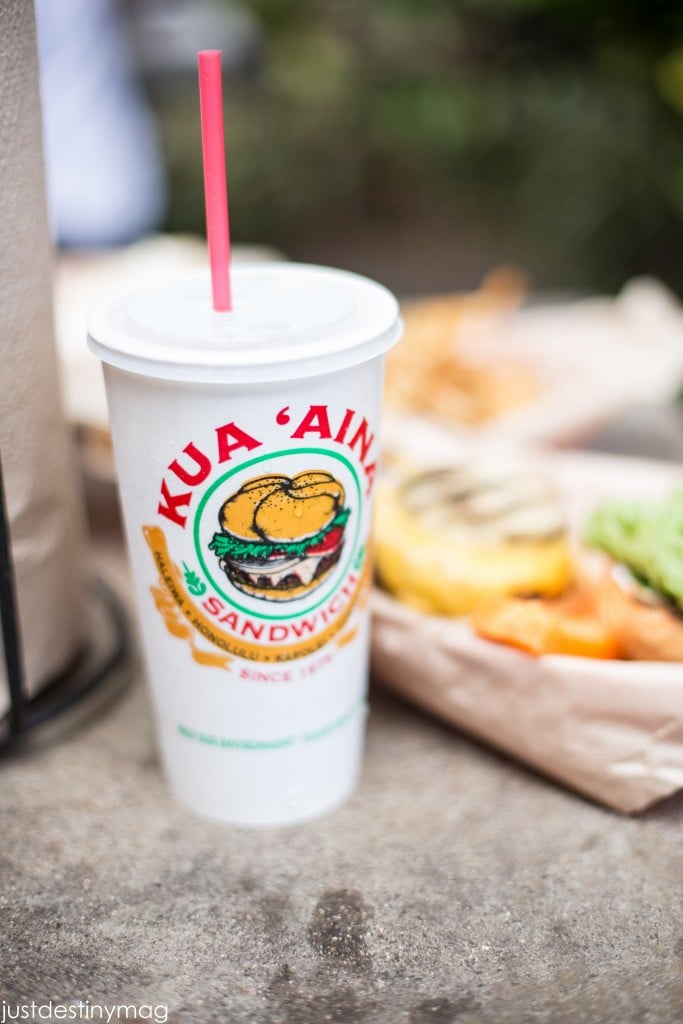 Hawaii Trip Silhouette Summit 2015-42