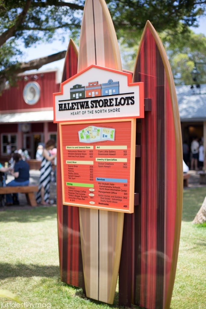 Hawaii Trip Silhouette Summit 2015-44