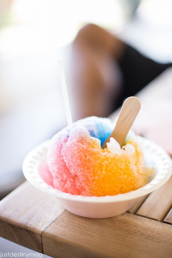 Hawaii Trip Silhouette Summit 2015-46