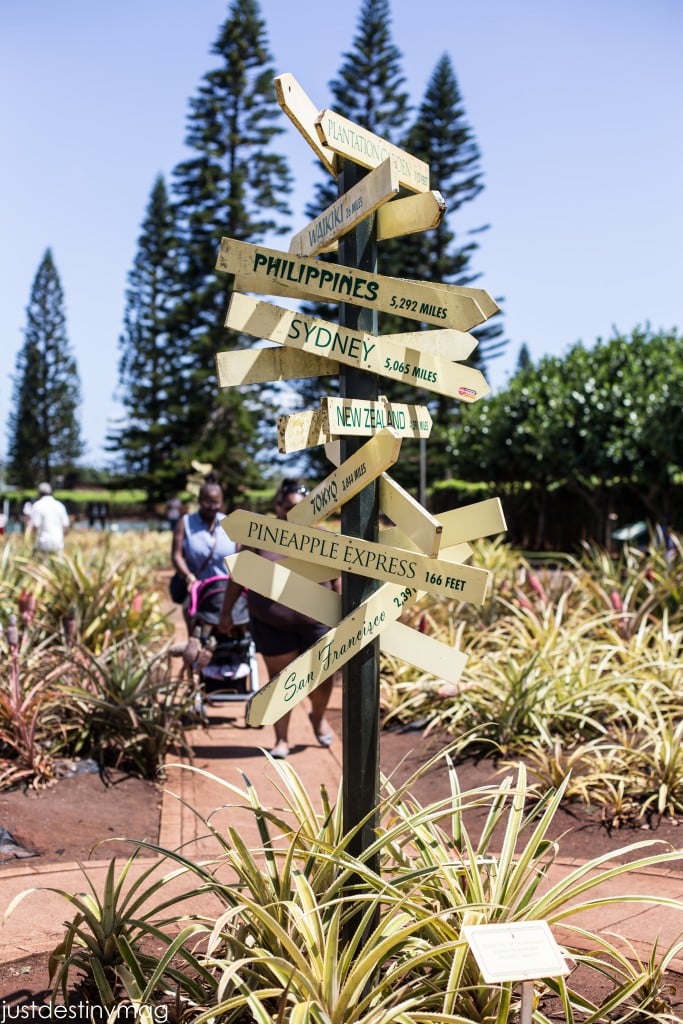 Hawaii Trip Silhouette Summit 2015-49