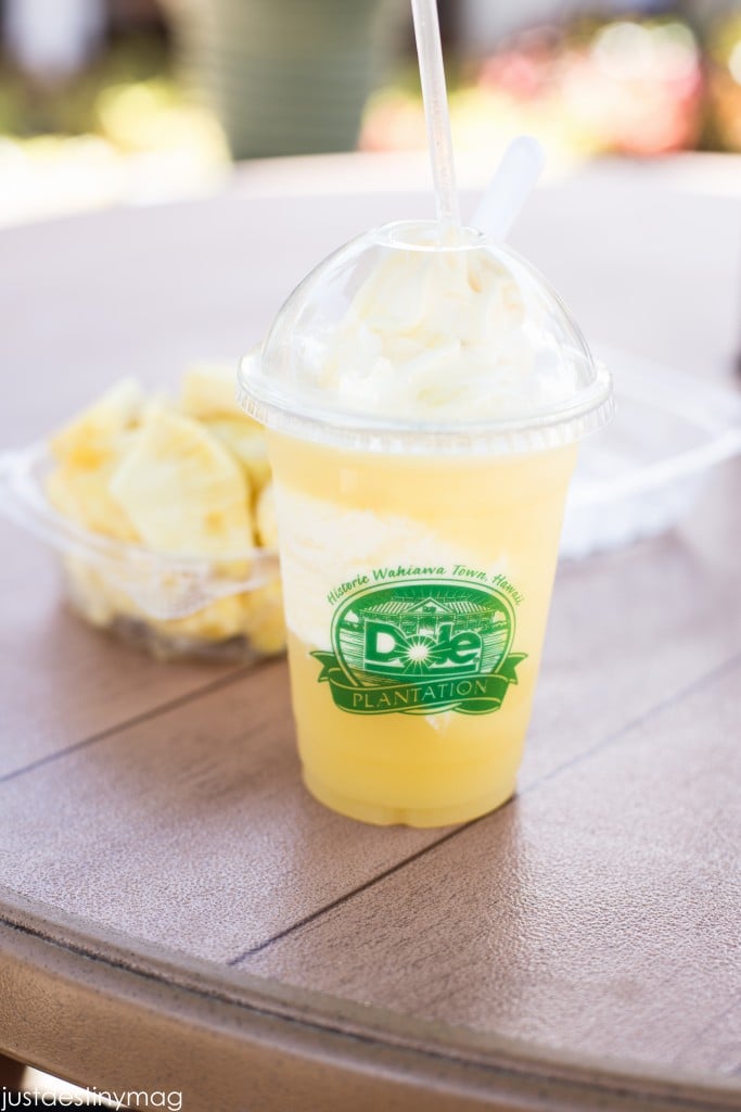 Hawaii Trip Silhouette Summit 2015-52