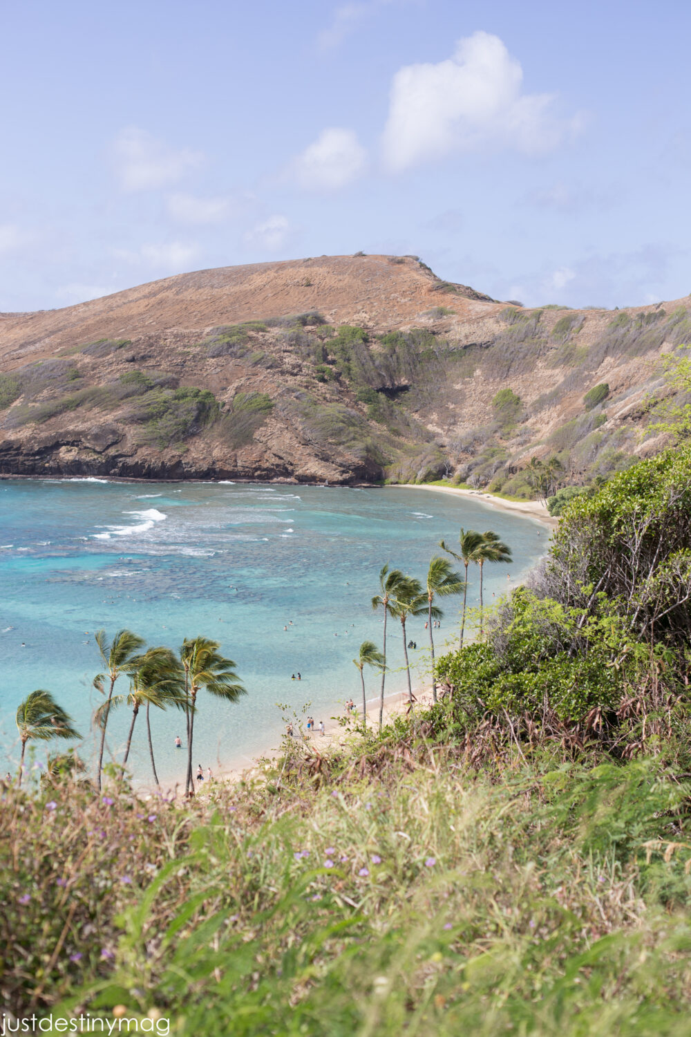 Hawaii Travel: Favorite Oahu Spots