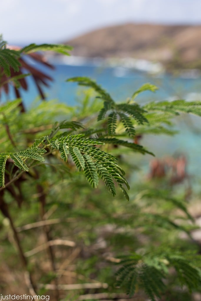 Hawaii Trip Silhouette Summit 2015-7