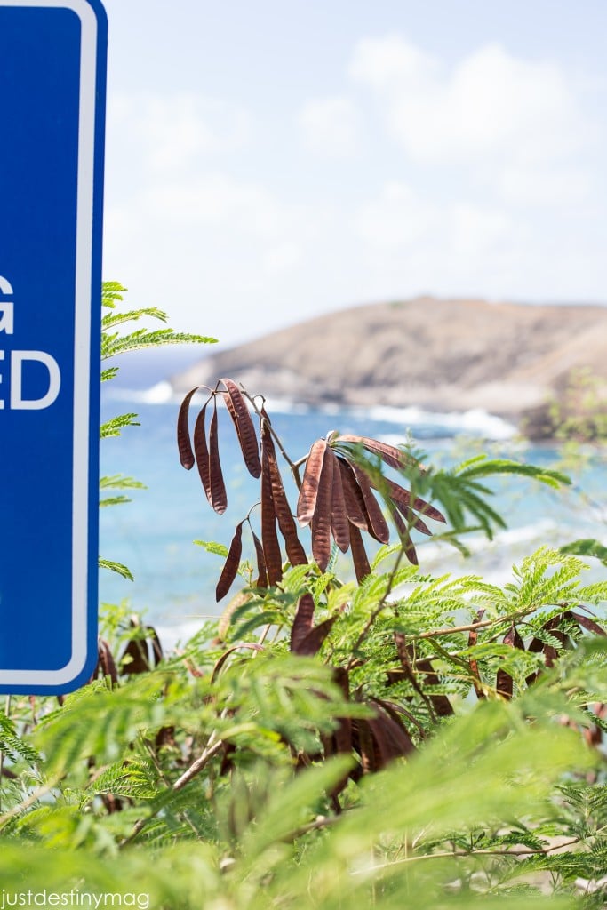 Hawaii Trip Silhouette Summit 2015-9