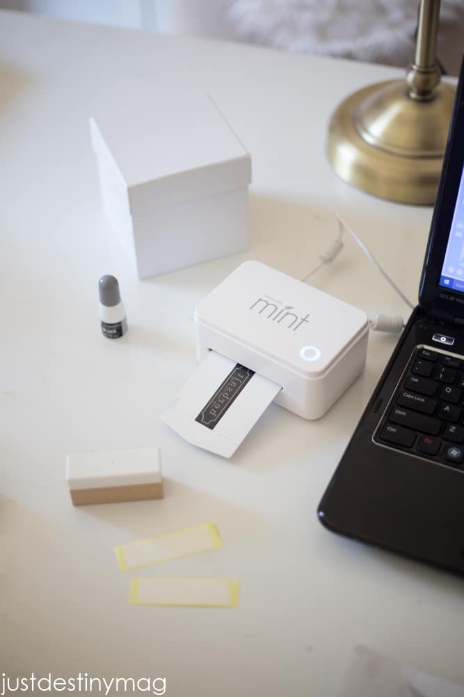 Gameday Wife Arizona Cardinal Week 2-3