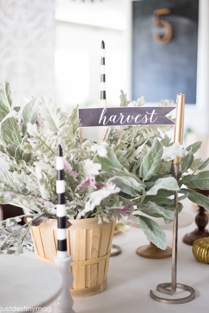 Simple Fall Centerpiece with Just Destiny Mag-21