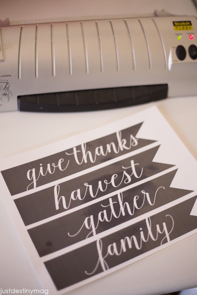 Simple Fall Centerpiece with Just Destiny Mag-4