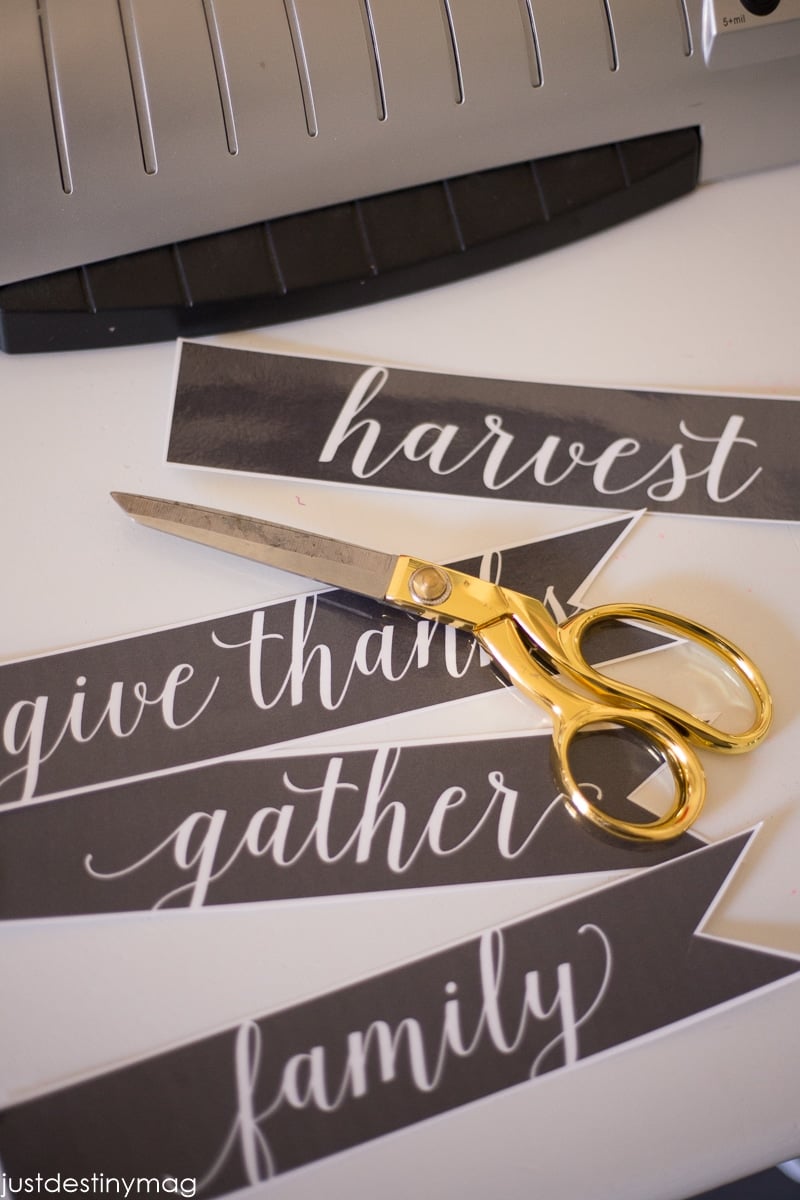 Simple Fall Centerpiece with Just Destiny Mag-5