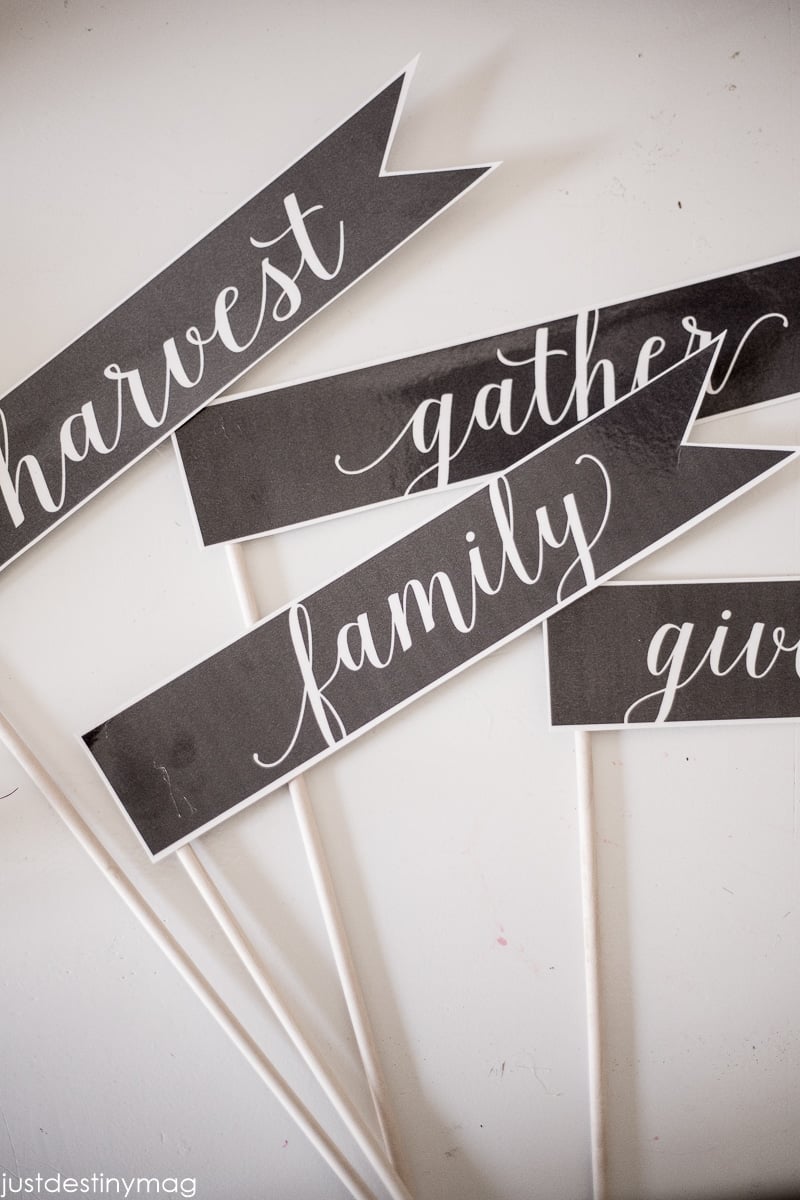 Simple Fall Centerpiece with Just Destiny Mag-9