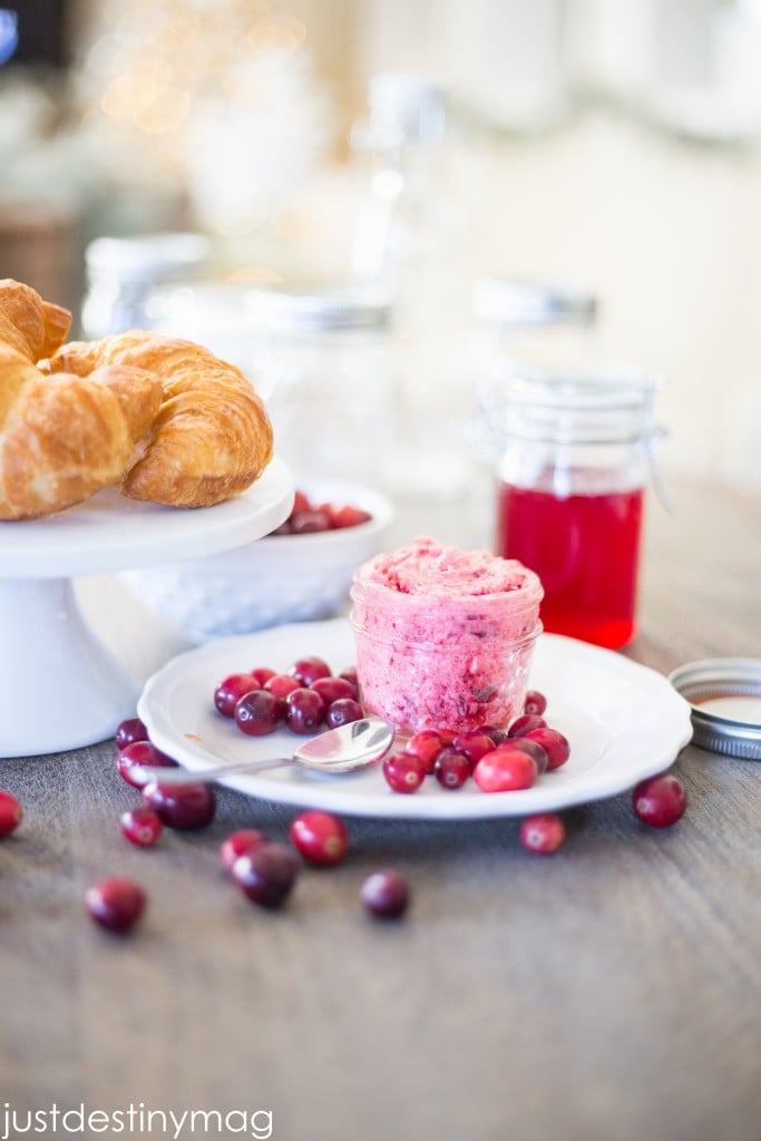 Cranberry Recipe and Gift Ideas for the Holidays -Just Destiny Mag-12