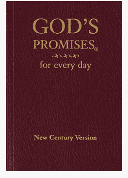 Bible Books for For teens and tweens Bible Books for Teens