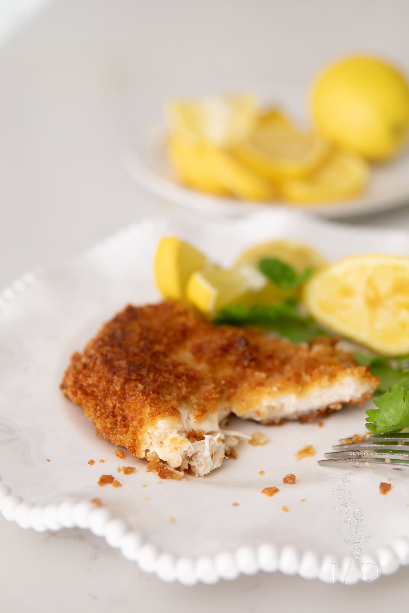 close up of parmesan crusted chicken up close 