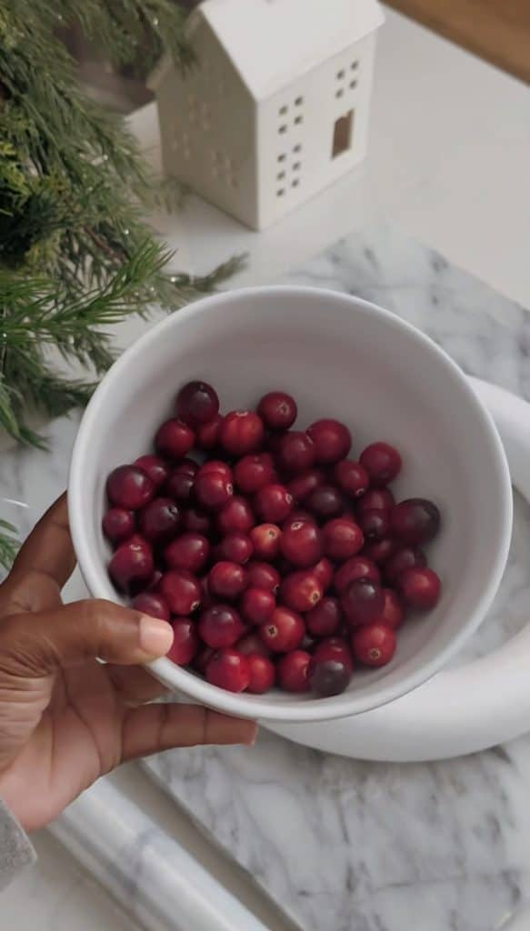 Fresh Cranberries for donut hole